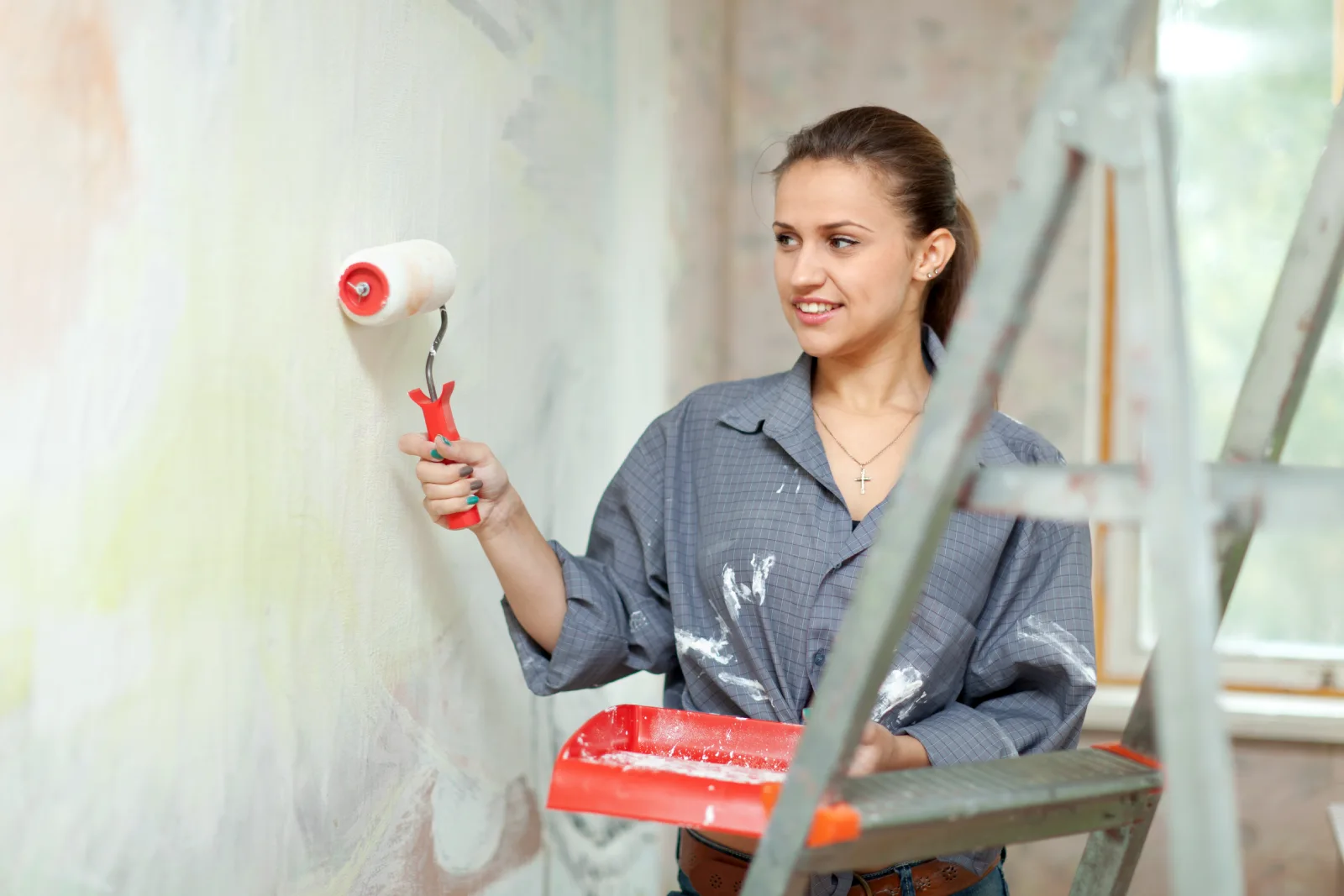 Domestic Painting